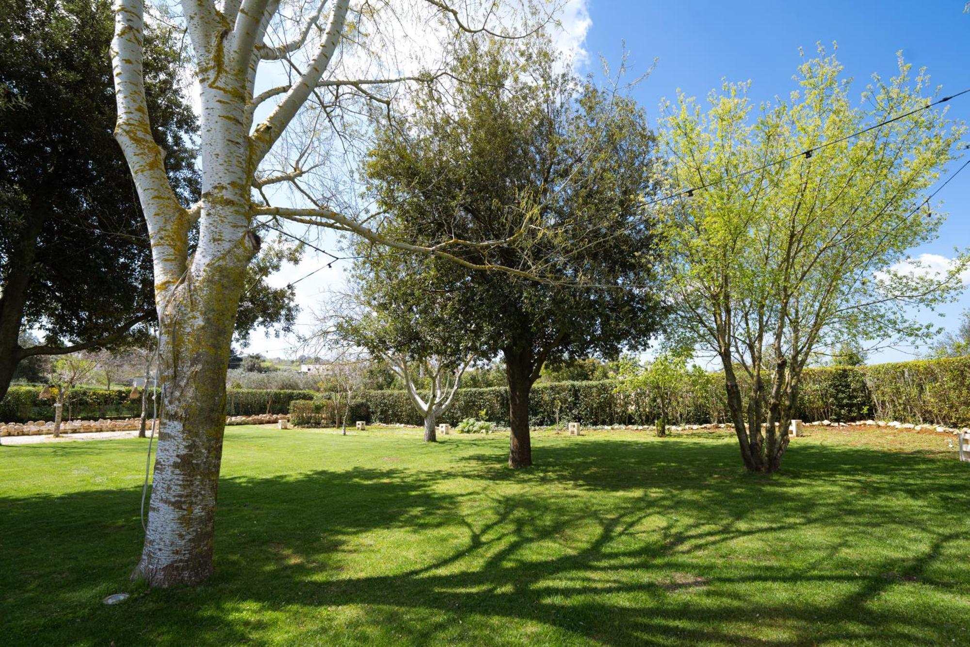 Masseria San Michele Martina Franca Luaran gambar