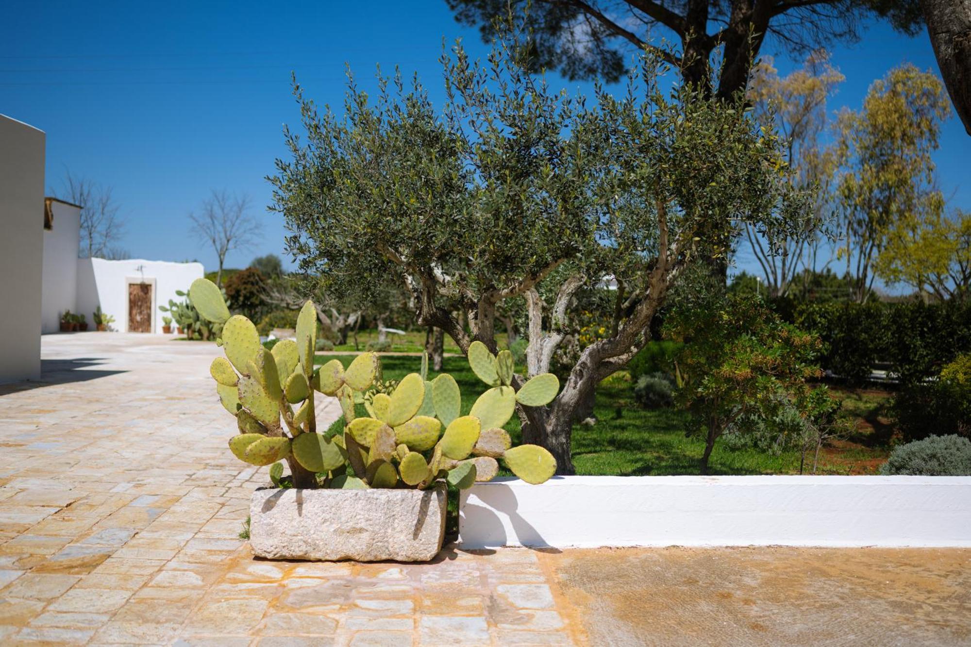 Masseria San Michele Martina Franca Luaran gambar